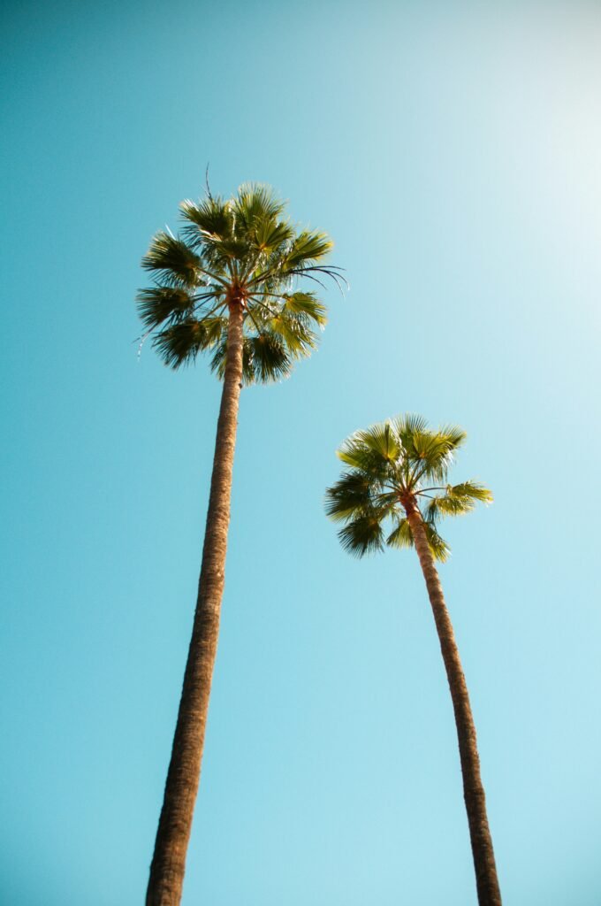 Photo by Hert Niks on Unsplash